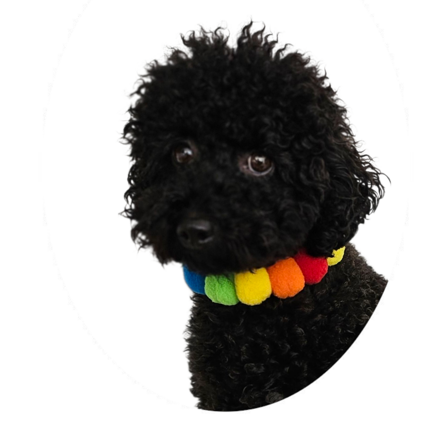 Pom-pom Ketting