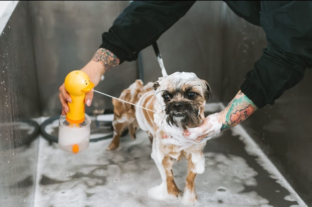 Eend Bubbles