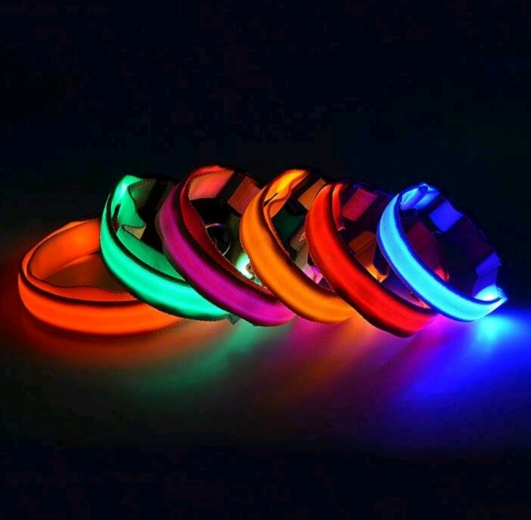 LED halsband