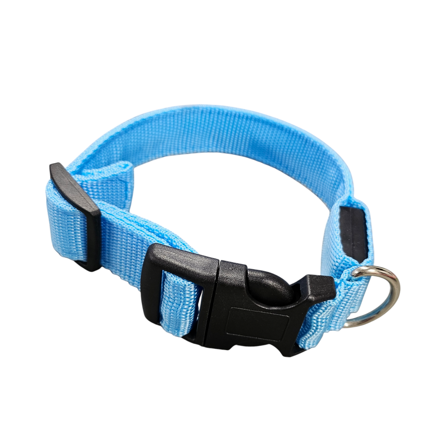 LED halsband