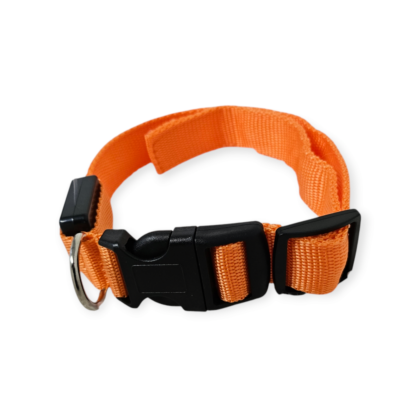 LED halsband