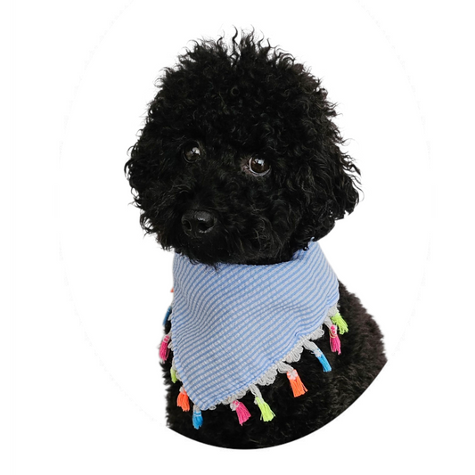 Tassel Bandana