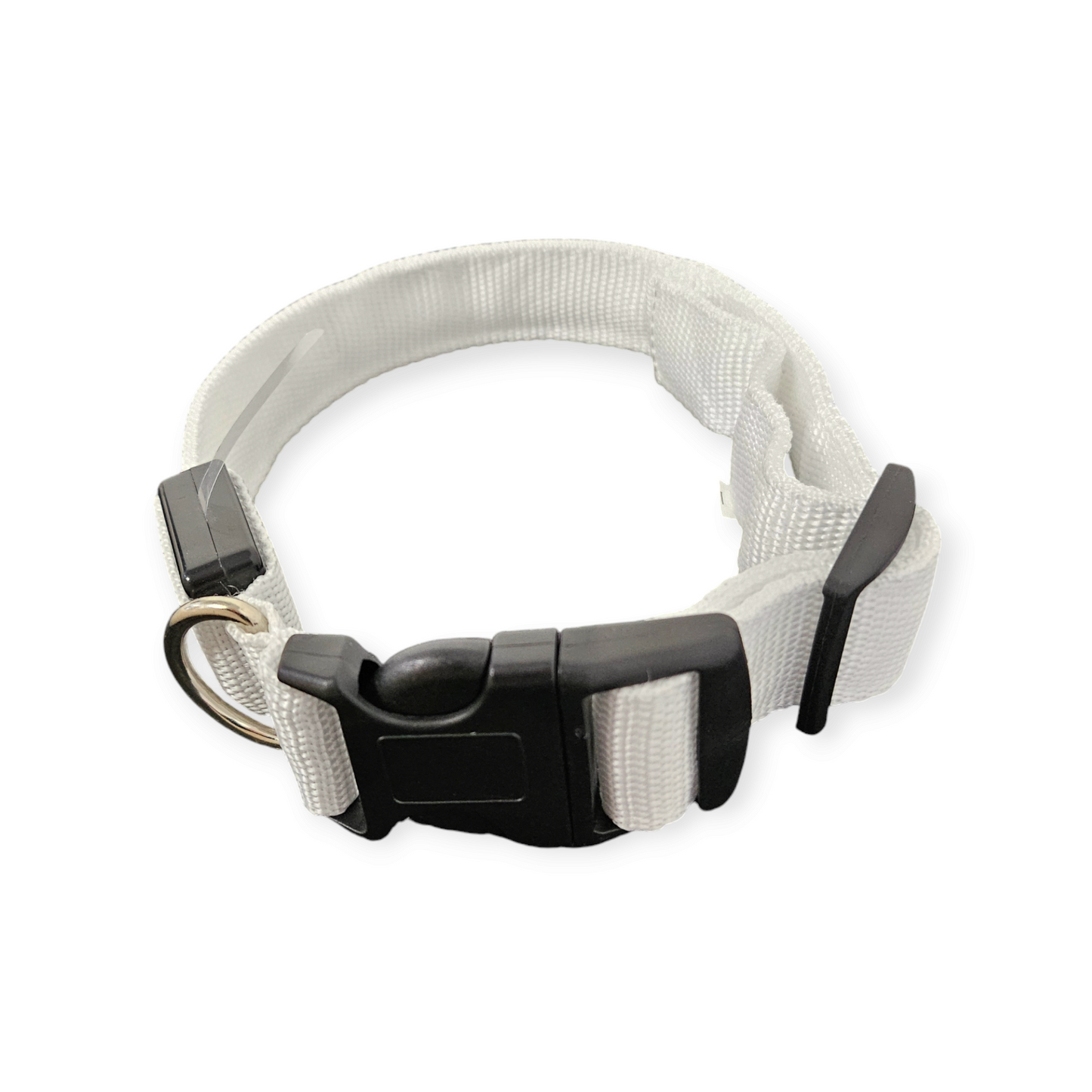 LED halsband