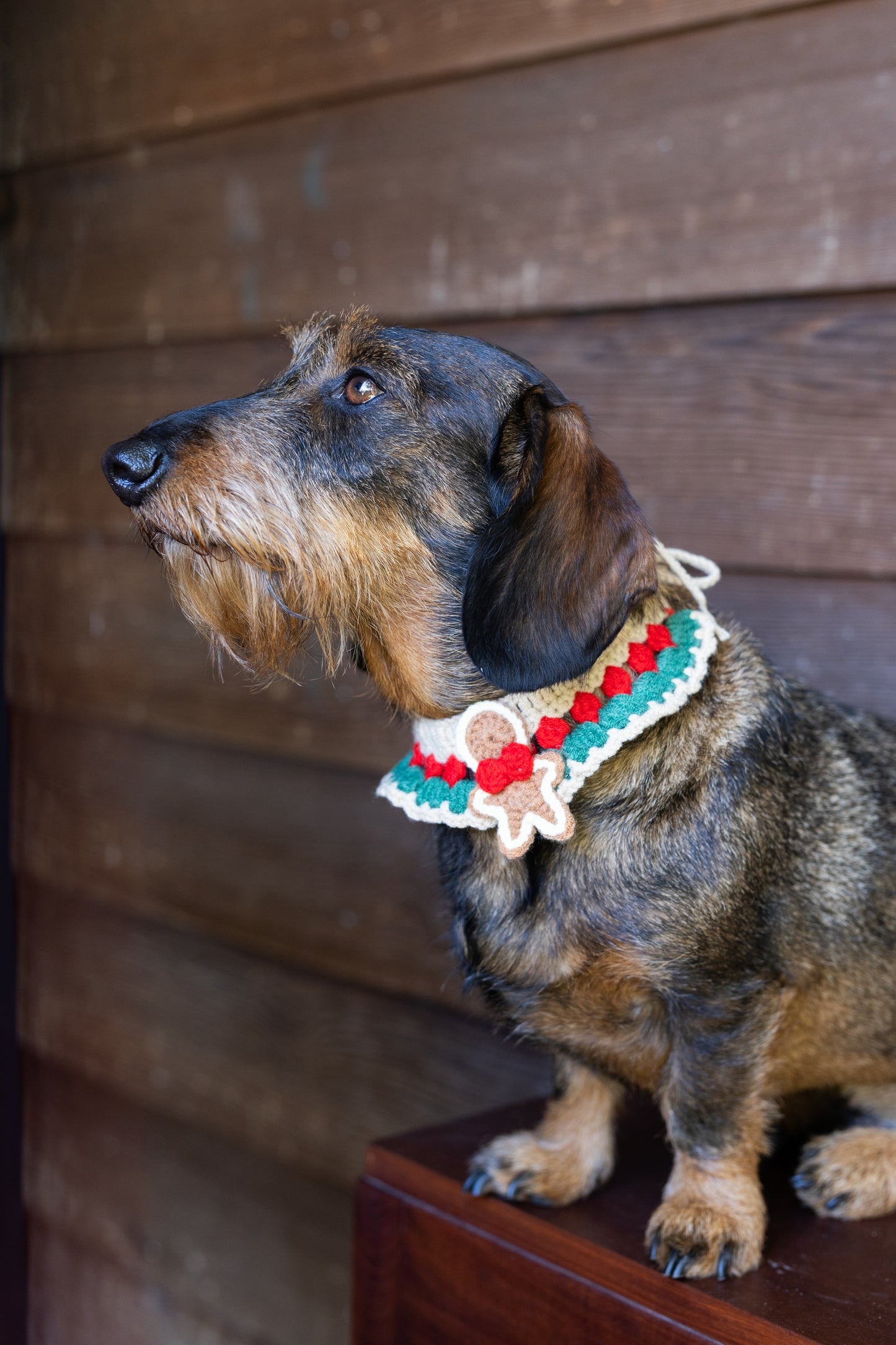 Gehaakte Kerstkraag Gingerbread