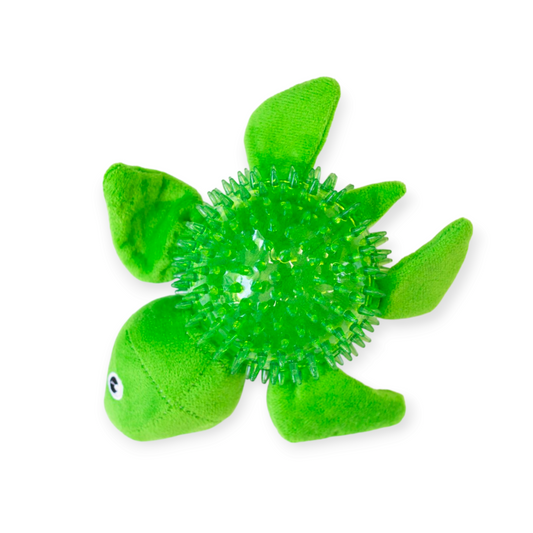 Spikey Turtle