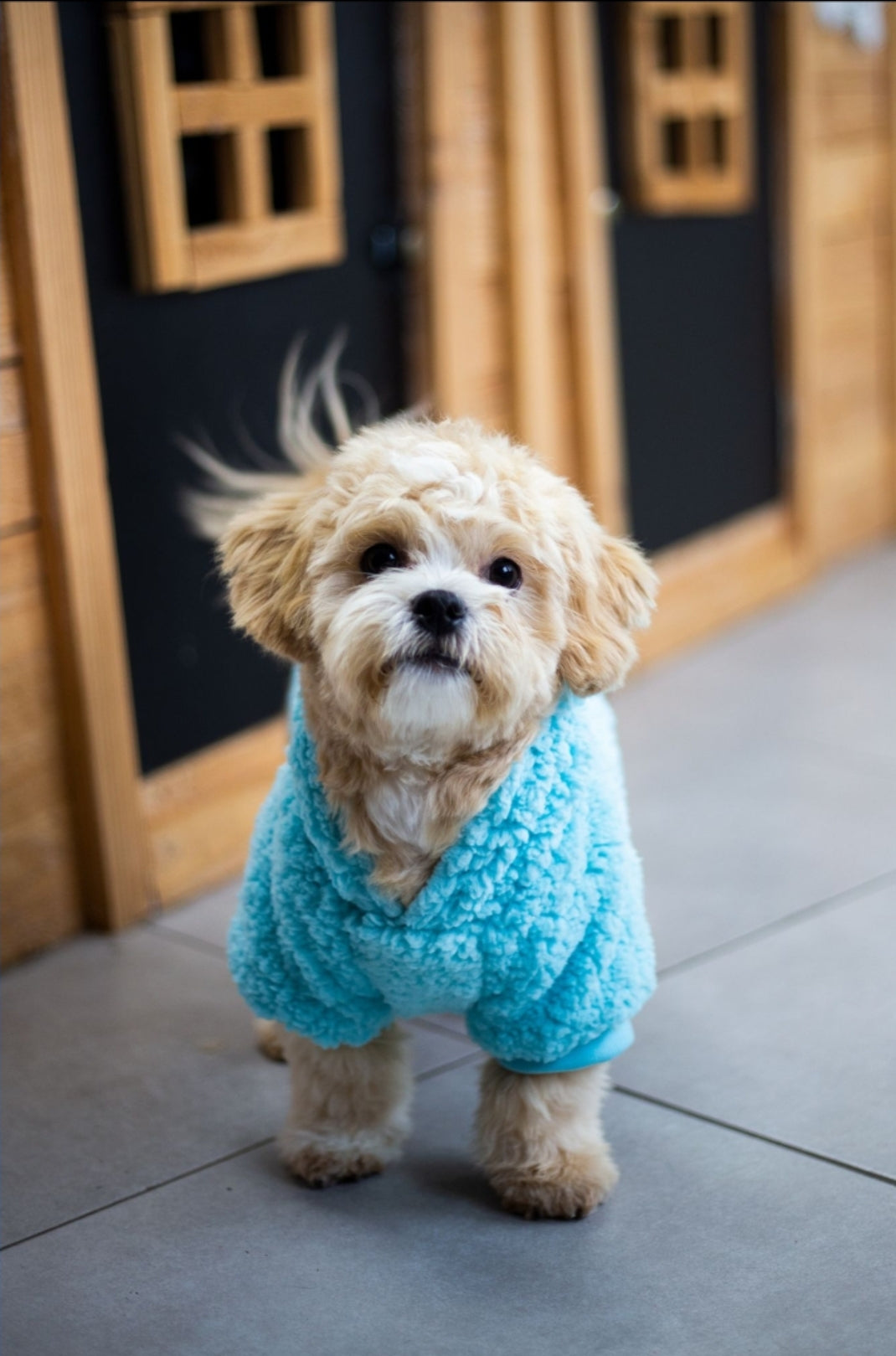 Fluffy hoodie
